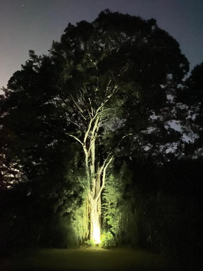 Recanto Da Floresta - Casa De Campo Em Secretario Petrópolis Exterior foto
